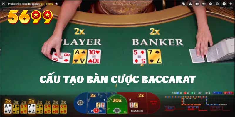 Cấu tạo bàn chơi baccarat với các cửa cược