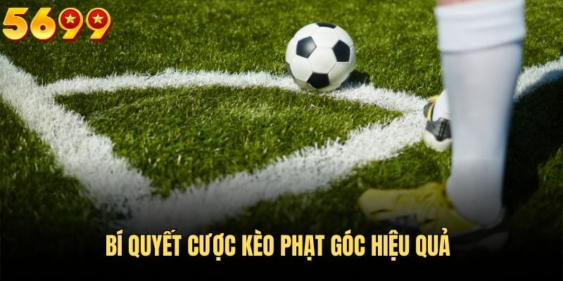 Bí quyết phân tích và nhận định khi chơi kèo phạt góc