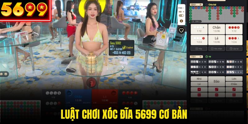 Luật chơi xóc đĩa online tại nhà cái 5699