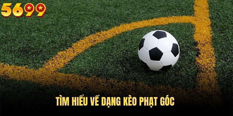 Kèo phạt góc - Tìm hiểu dạng cược hot nhất 2024